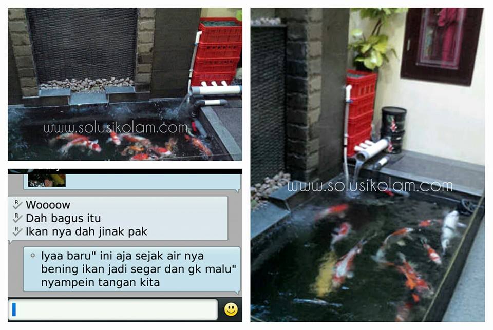 Filter kolam koi trickle filter serang