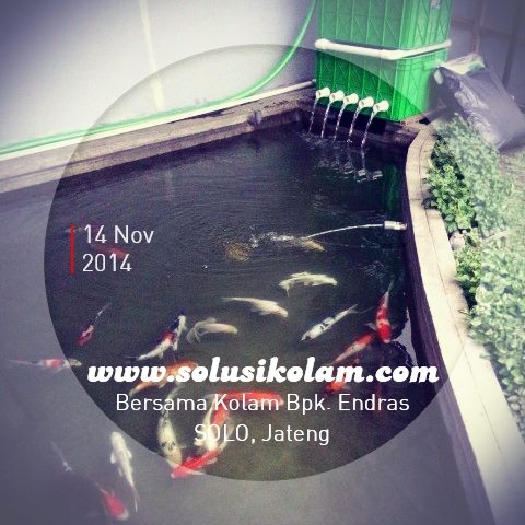 Filter kolam ikan koi bapak endras