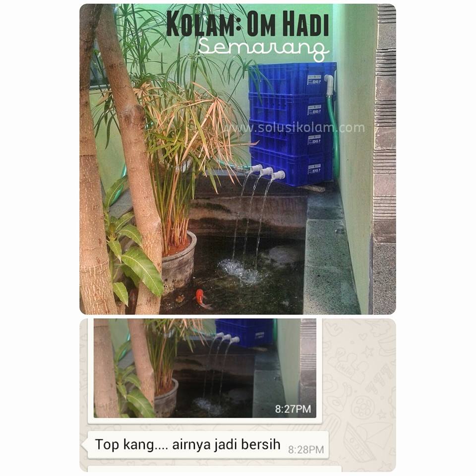 Filter Kolam bapak Hadi semarang